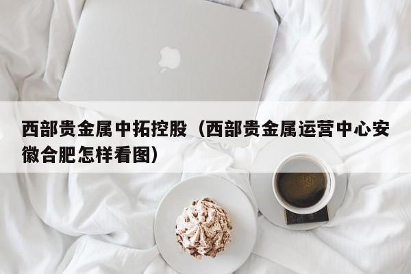 西部贵金属中拓控股（西部贵金属运营中心安徽合肥怎样看图）
