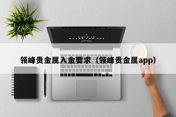 领峰贵金属入金要求（领峰贵金属app）