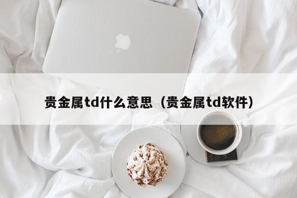 贵金属td什么意思（贵金属td软件）