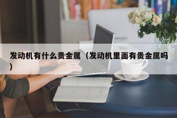 发动机有什么贵金属（发动机里面有贵金属吗）