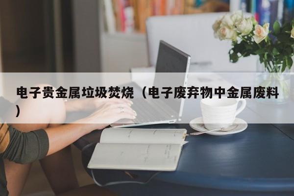电子贵金属垃圾焚烧（电子废弃物中金属废料）